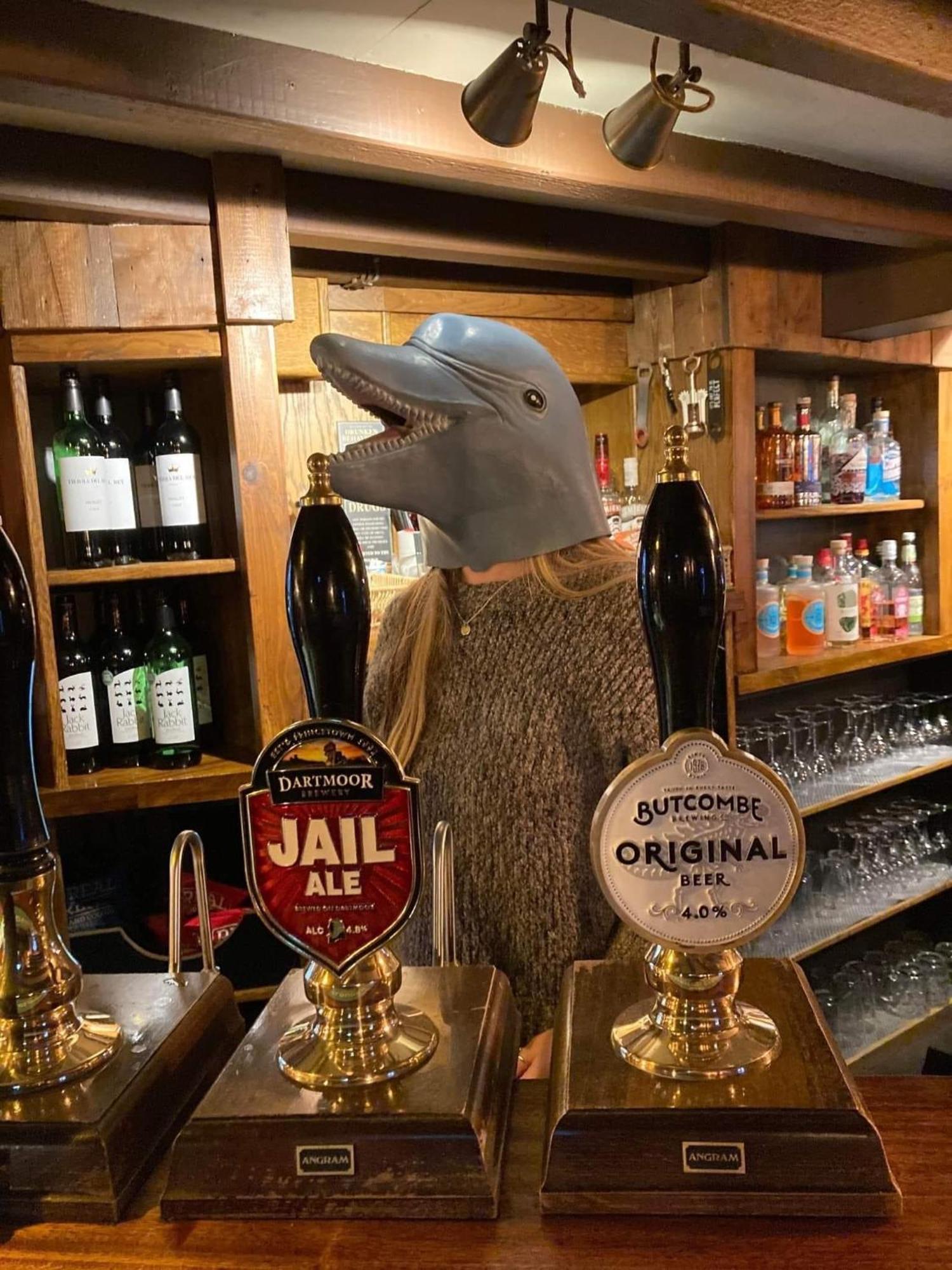The Dolphin Inn Kingsbridge  Værelse billede